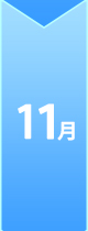 11月